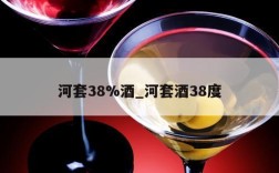 河套38%酒_河套酒38度